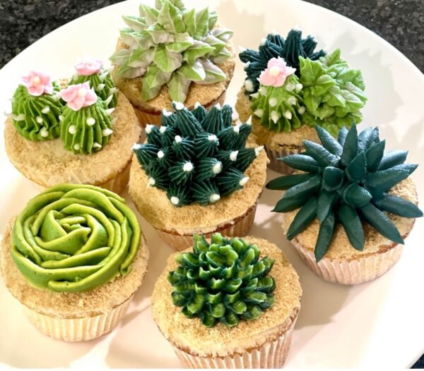 Succulent Cupcakes